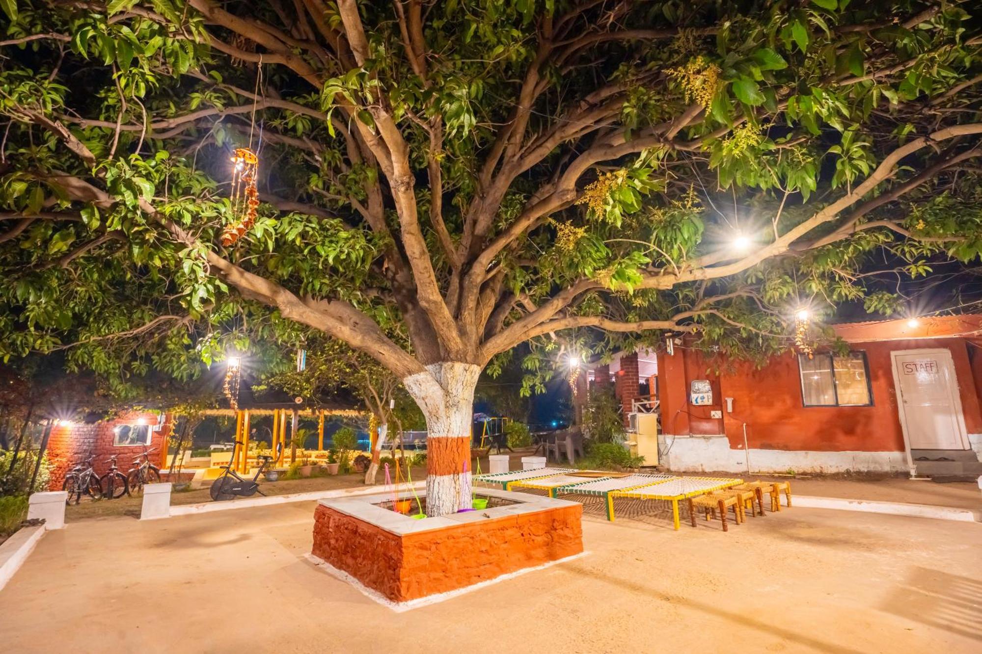 Wow Stayz2 Pachmarhi Foothill Cottages Exteriör bild