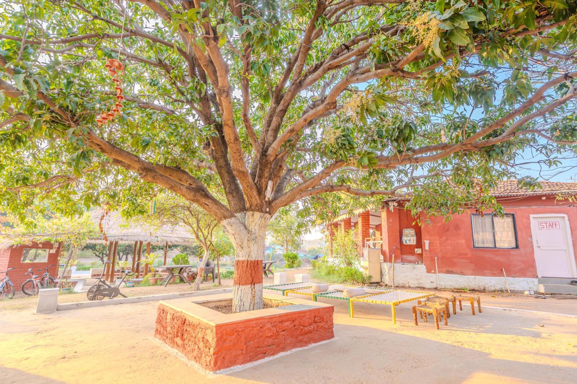 Wow Stayz2 Pachmarhi Foothill Cottages Exteriör bild